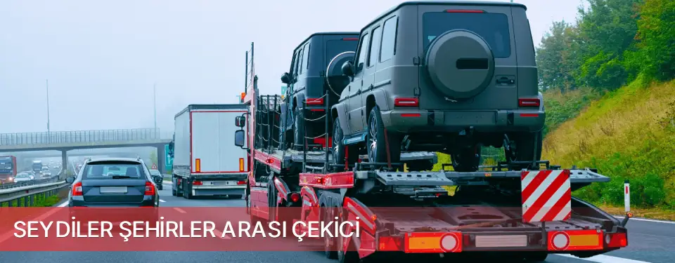 Seydiler İlçemi Şehirler Arası Çekici
